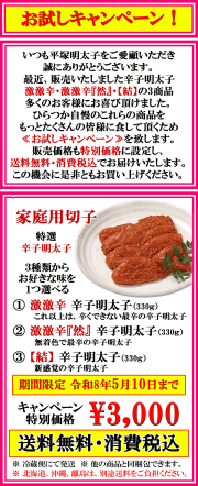 お試しキャンペーン 期間限定！　送料無料・消費税込