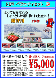 バラエティセット　5