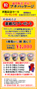 通常販売 決定！　【粒】プチパッケージ　プレゼント付