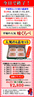本日終了！　秋の感謝祭　第2弾！　プレゼント付！