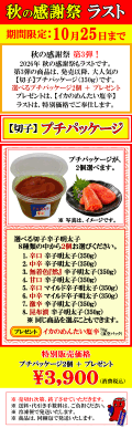 特別価格　今年最後の秋の感謝祭　大人気のプチパッケージ　プレゼント付！