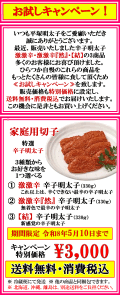お試しキャンペーン 期間限定！　送料無料・消費税込