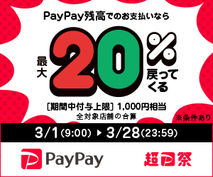 paypay決済誰でも20%キャンペーン