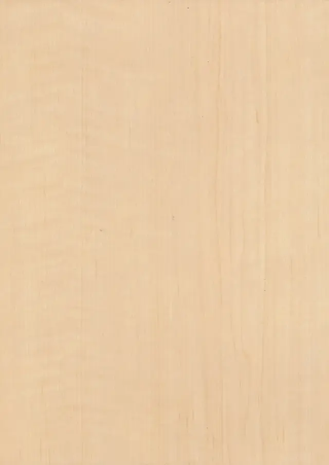 木目柄 メープル 柾目 AY-1928KG