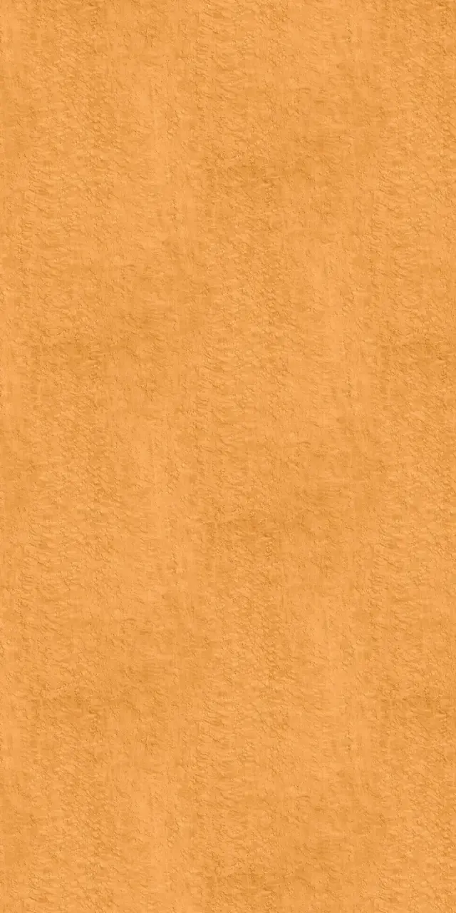 木目柄 メープル 小杢 AY-279KG 4尺×8尺