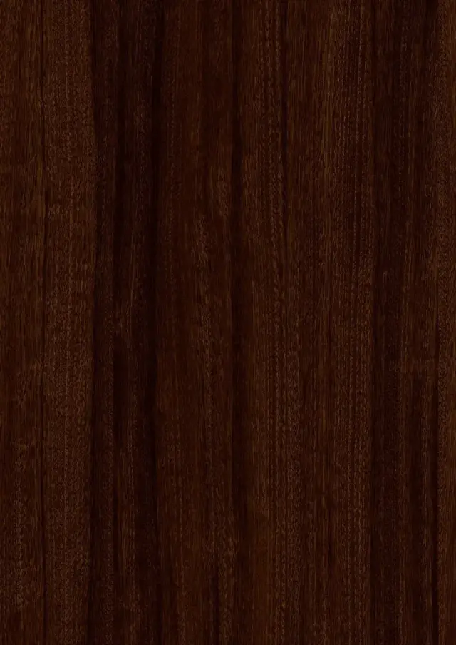 木目柄 ウォールナット 柾目 セルサス 抗菌 TJ-293KQ98