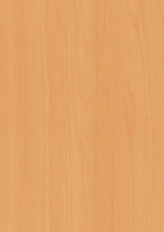 木目柄 メープル 柾目 TJY147K