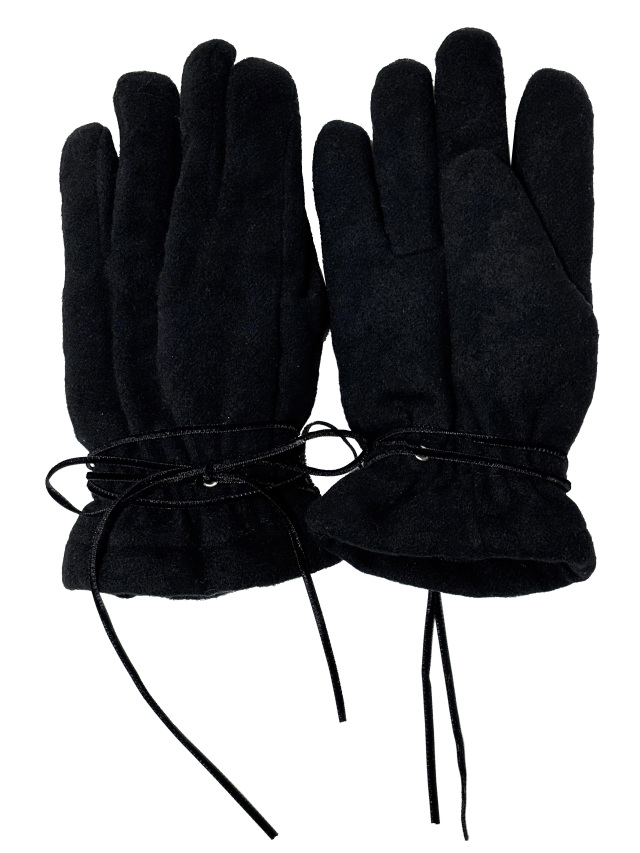 ジャカード、手袋、リボン、グローブ、ウール