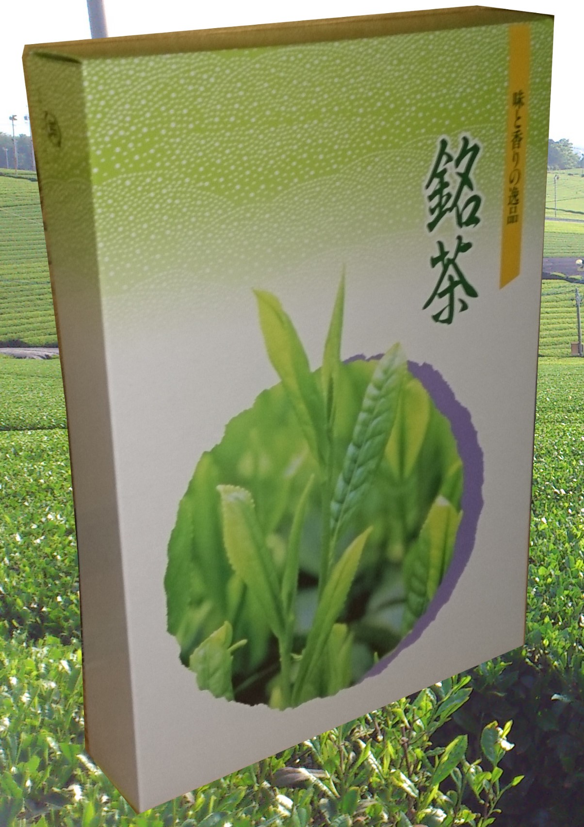 3本入箱入