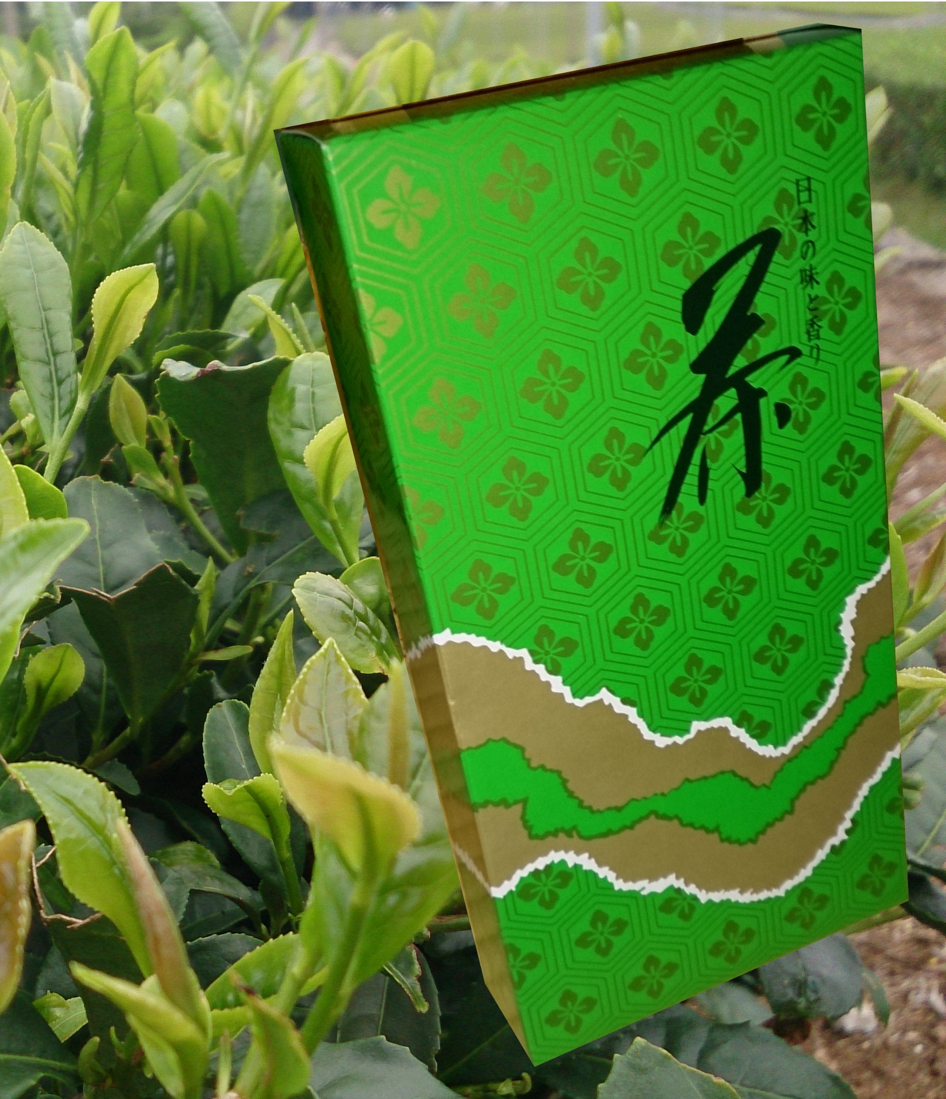 2本入箱入り