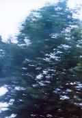[day of a wind]