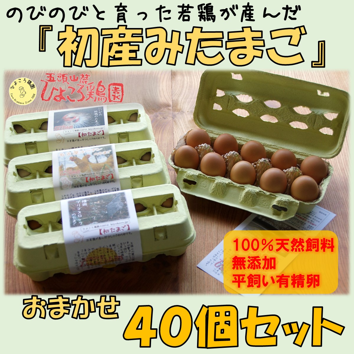 『初産みたまご』おまかせ40個セット
