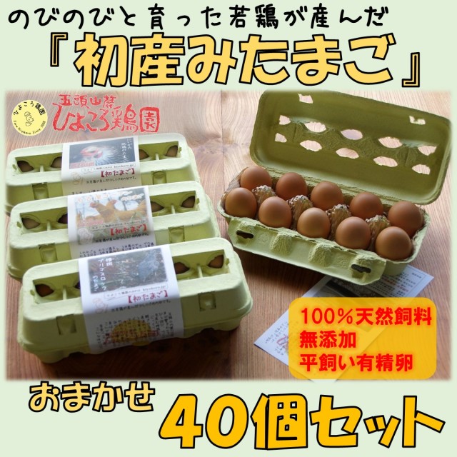 『初産みたまご』おまかせ40個セット