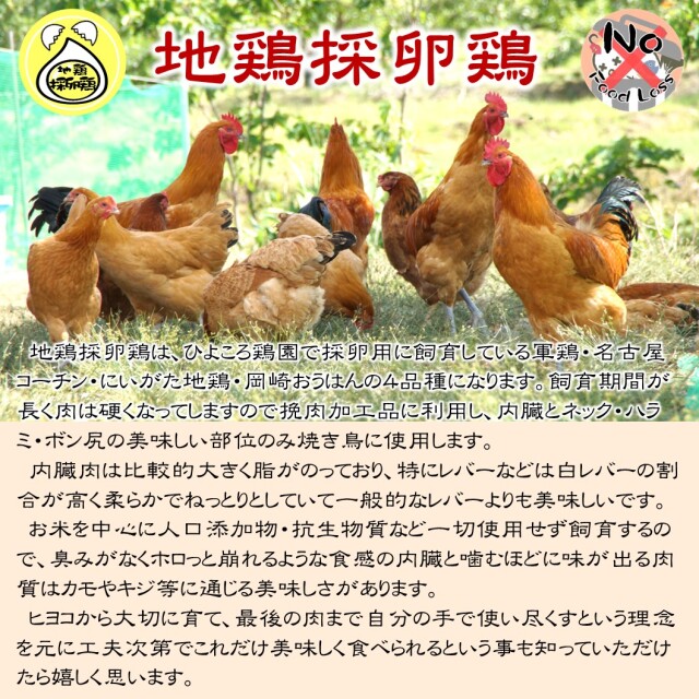 地鶏採卵鶏紹介