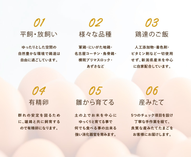 地鶏たまごセット(烏骨鶏・軍鶏)各10個・計20個