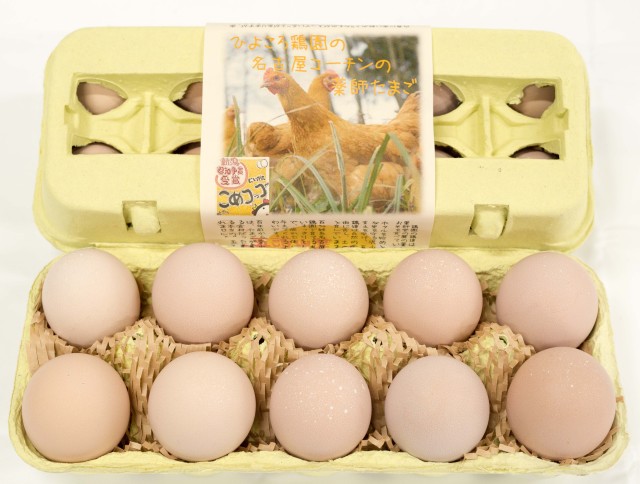 名古屋コーチンのたまご