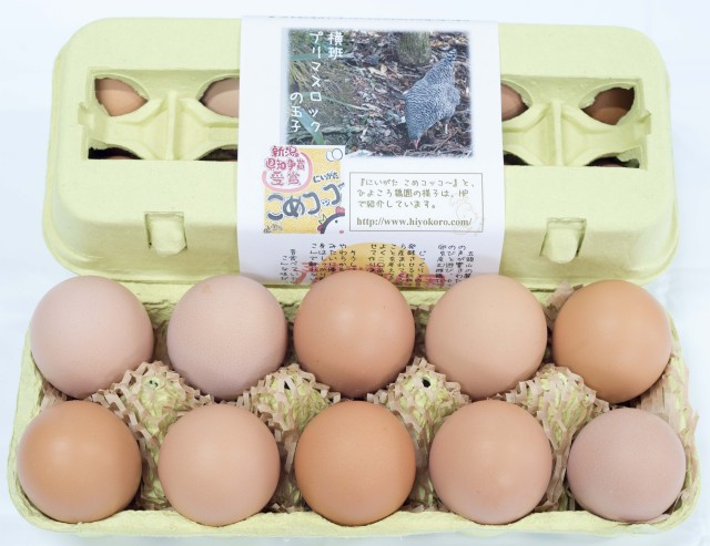岡崎おうはんのたまご