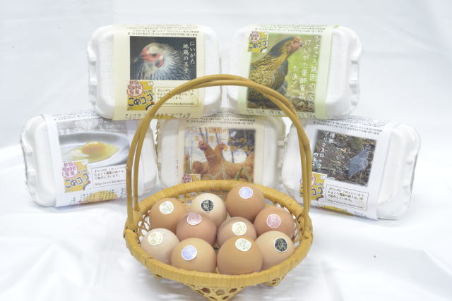 平飼い有精卵(にいがた地鶏・名古屋コーチン・岡崎おうはん・軍鶏・国産赤鶏あずさ)セット【5種各6個・計30個】