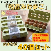 『初産みたまご』おまかせ40個セット