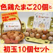 【送料無料(※東北から近畿地方まで)】色鶏たまご2パックと初産みたまご１パックのセット