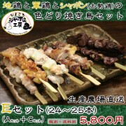 焼き鳥セットE