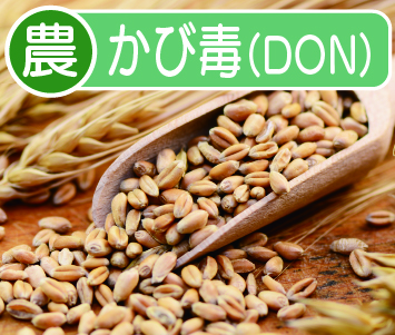 かび毒