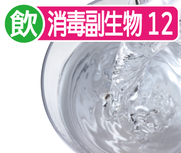 消毒副生成物12項目検査