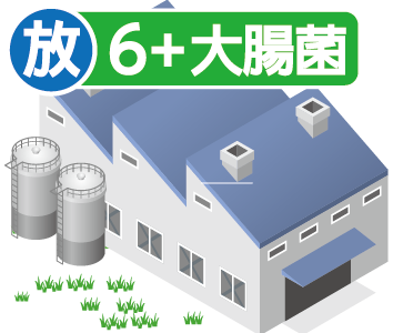 工場排水6項目検査+大腸菌数