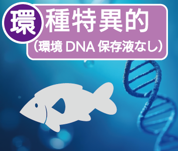 環境DNA(種特異的分析)【環境DNA保存液なし】
