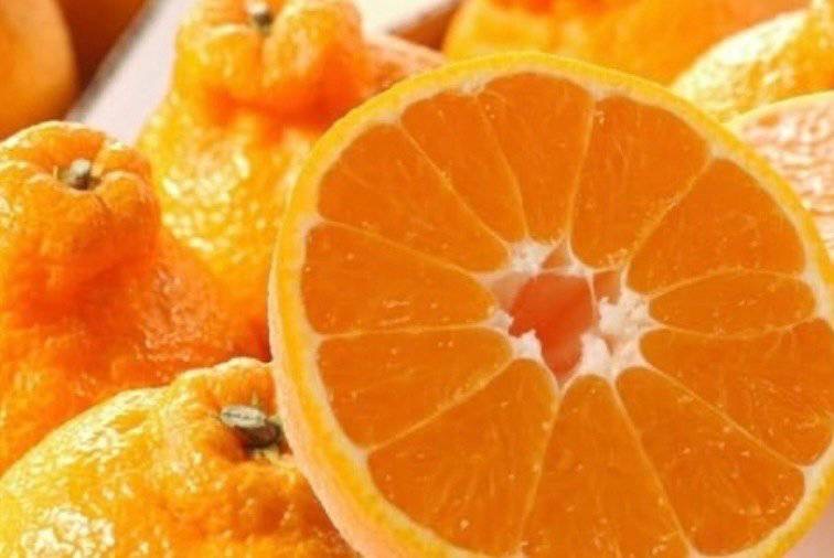 黒酢しらぬい５ｋｇ　