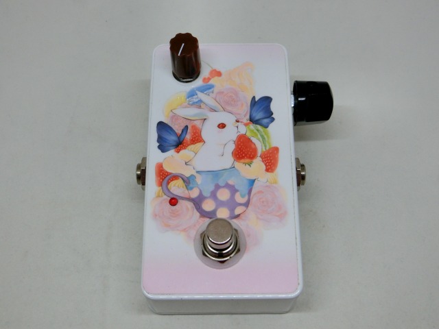 canal-cat-pick-usagi-1