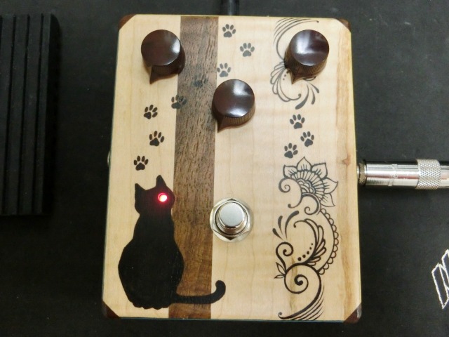canal-cat-newcat-5