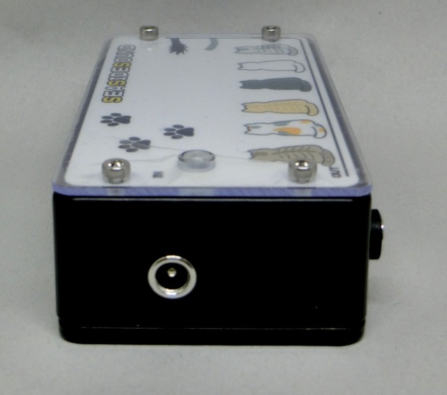 sea_p-4