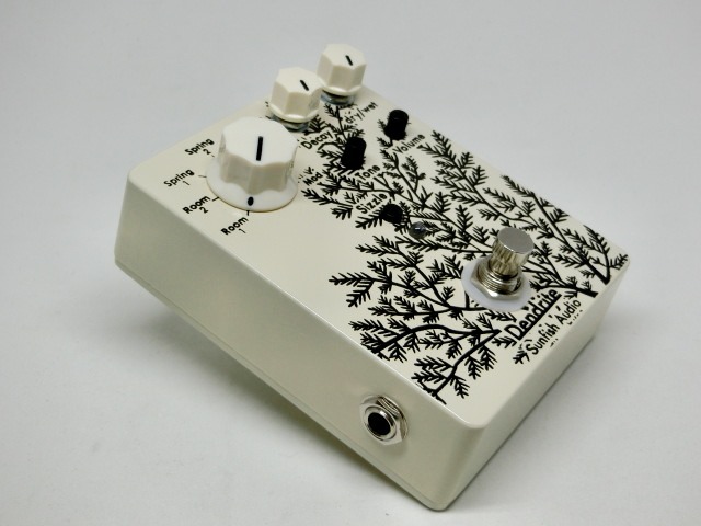 Sunfish-dendrite-3