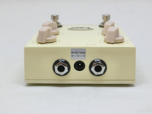 trex-bass-5