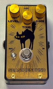 seaside-boosnyaa-g-1
