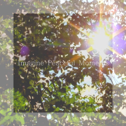 Imagine Peaceful Moments／音・音［2667］