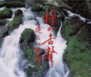 禅の音聲　道元の世界［2281］