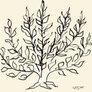 イツクシミ／古武道［3800］