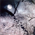 鼓樂庵作品集vol.3／望月太左衛［2693］