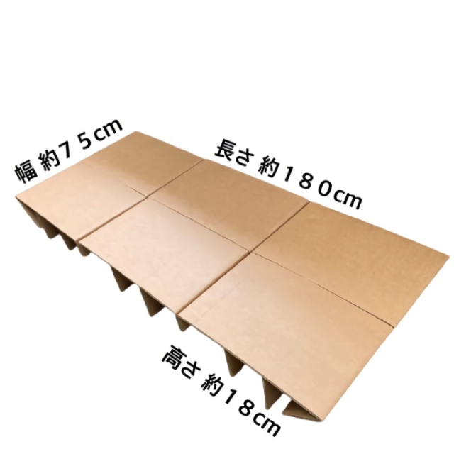 ダンボールベッド
