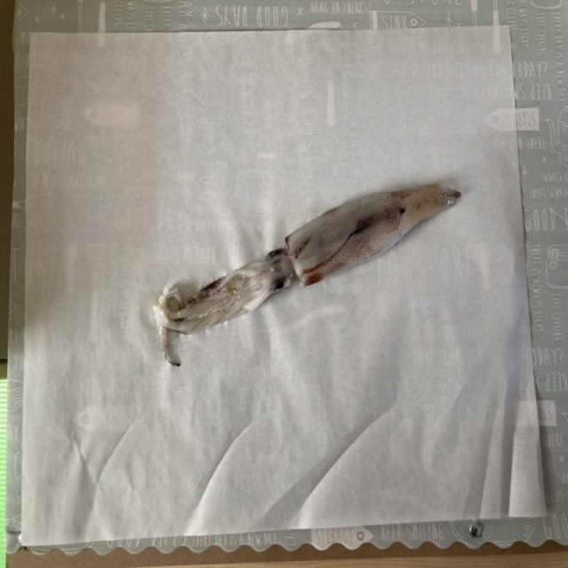 イカを包む紙です