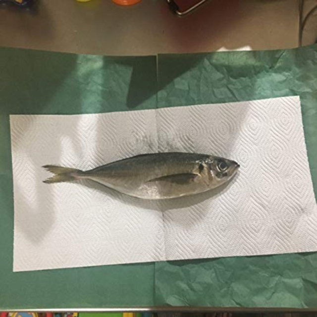 津本式用グリーンパーチ魚を包む緑の紙小さいサイズ