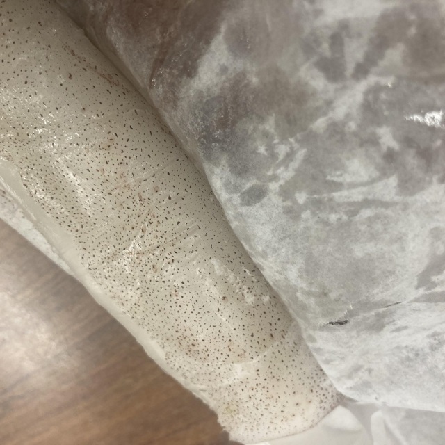 イカを冷凍しました