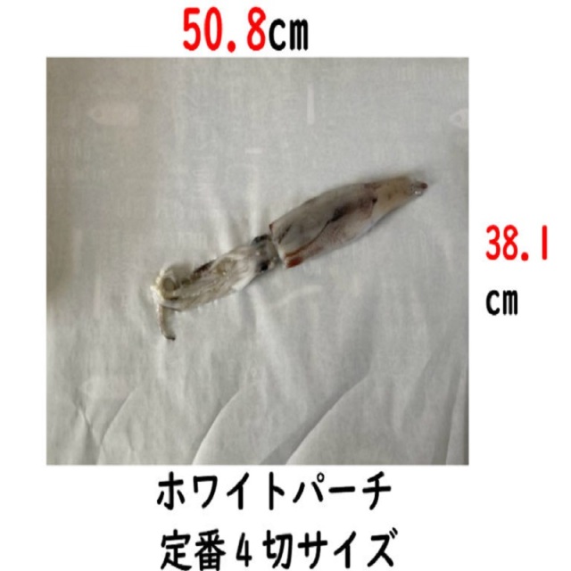 イカの包装紙ホワイトパーチです