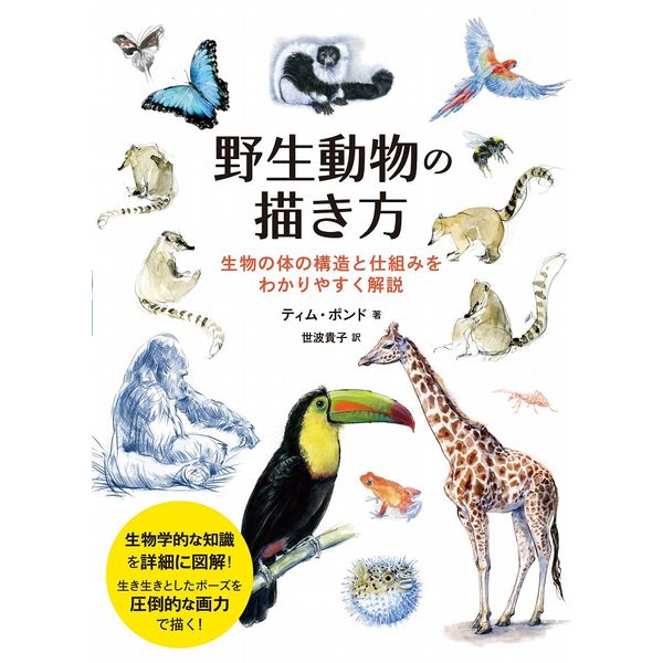 《送料無料》野生動物の描き方 生物の体の構造と仕組みをわかりやすく解説 書籍