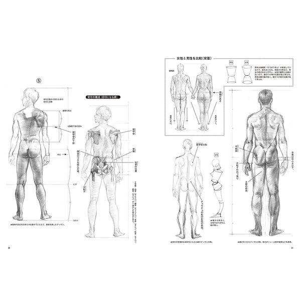 人物を手早く描く基本 男性編