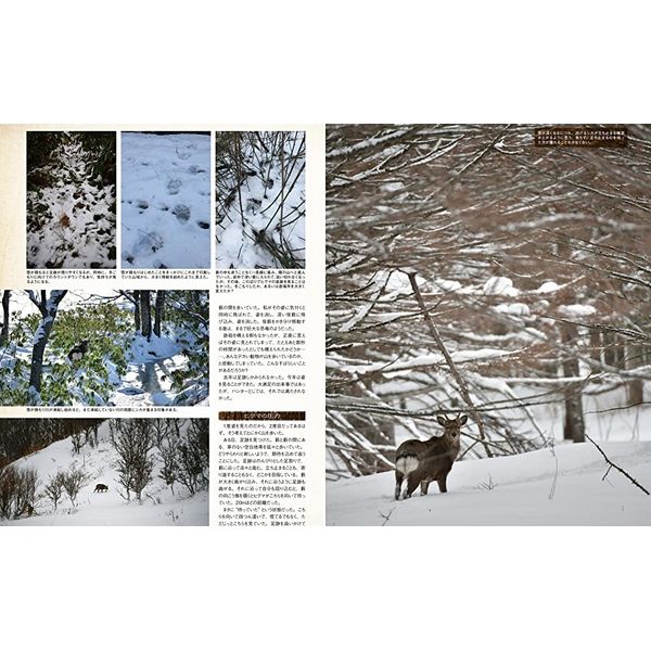 Guns&Shooting Vol.21