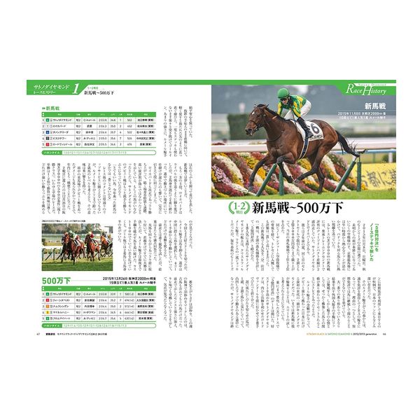 愛駿通信　キタサンブラック・サトノダイヤモンドと2012/2013年組