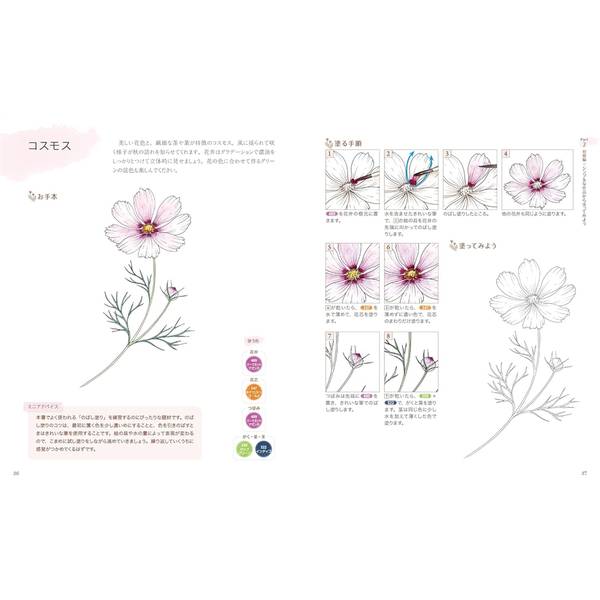 塗り絵でまなぶ　花の水彩イラスト　一輪の花からブーケ、リースまで